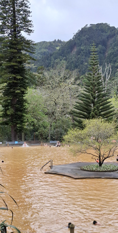Brown, thermal lake