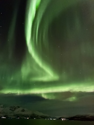 The Northern Lights