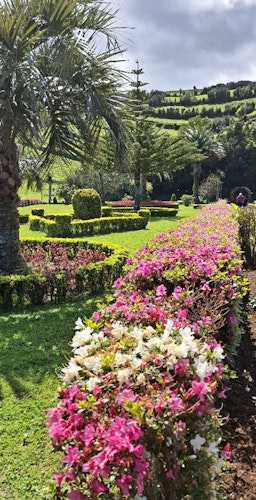 Flowers in the botanical gardens