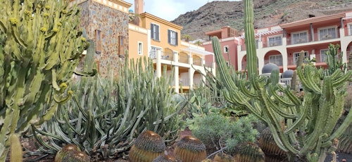 Hotel Cordial Mogán Playa Cactus Garden