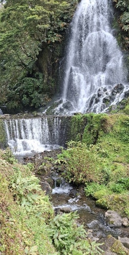 Waterfall in the botanical gardens